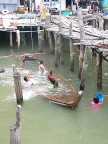 kids swimming.JPG (69KB)